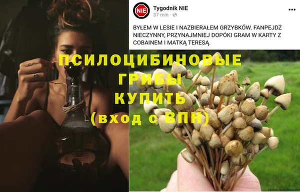 ешки Карталы